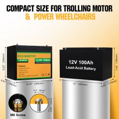 Eco-Worthy LiFePO4 battery 12V 100Ah with BMS