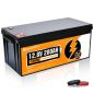 Eco Worthy 12V 280Ah battery with BMS